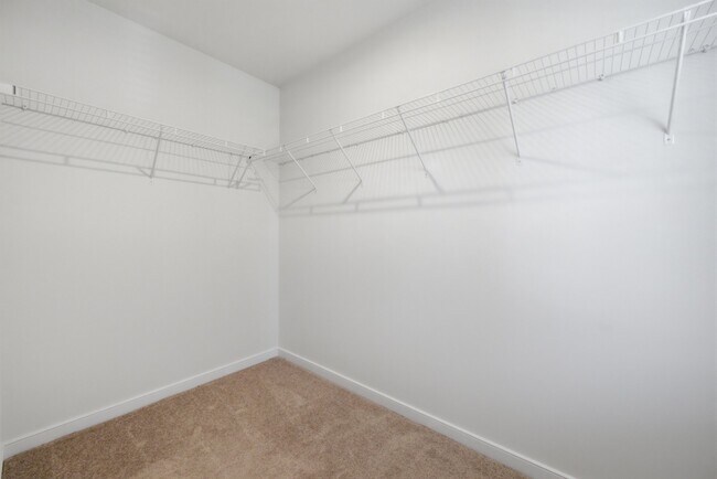 Building Photo - 4019 Grand Reserve Ln