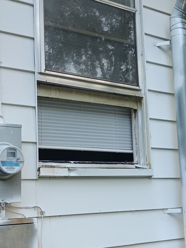 Building Photo - 109 Dalzell St