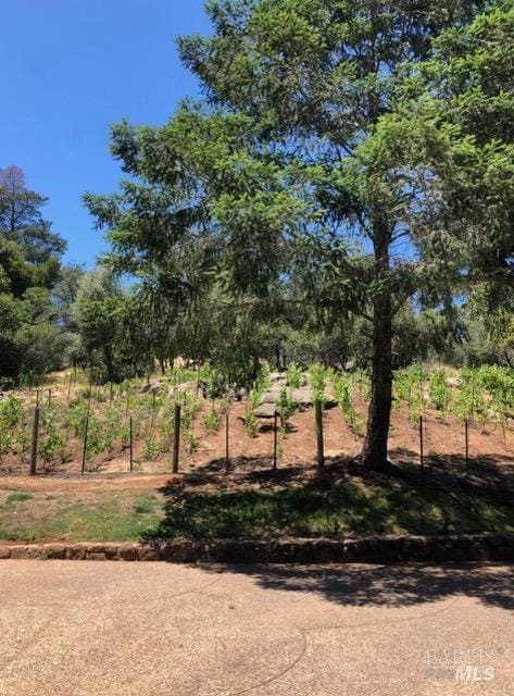 Building Photo - 1412 Quail Ct