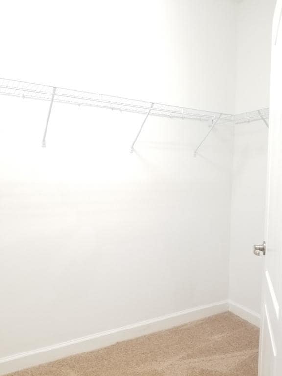 Building Photo - 15186 Evergreen Oak Loop