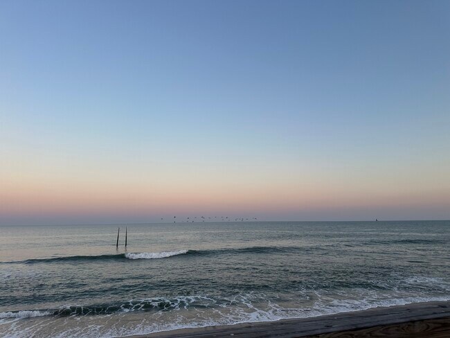 Building Photo - Pelican Watch