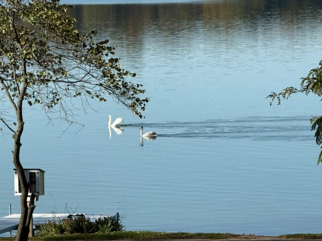 Building Photo - GLH