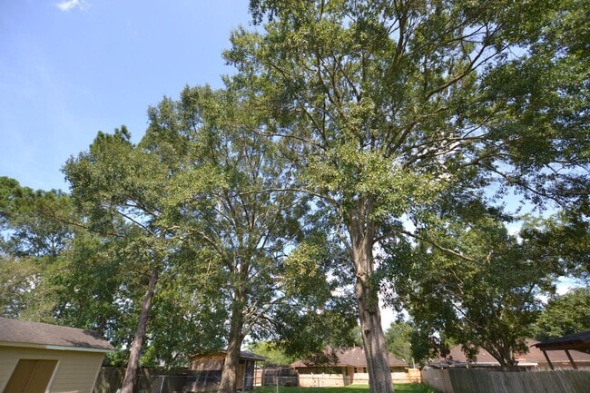 Building Photo - Must See!  Beautifully remodeled 3 bedroom, 2 bath home in Park Forest - Oakcrest Subdv