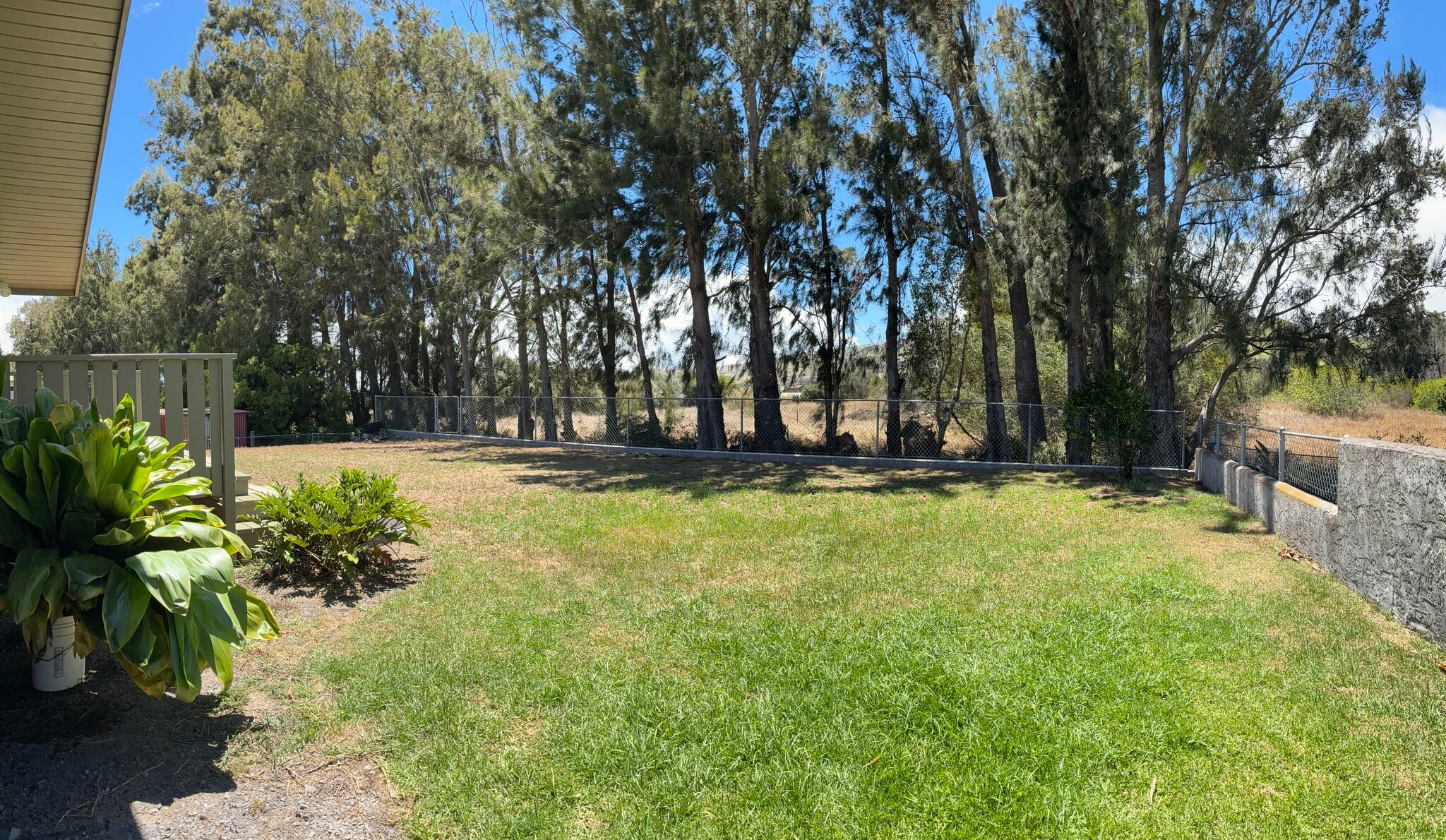 Backyard, left side - 66 -1253 Ahuli Cir