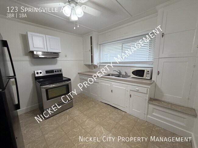 Building Photo - 123 Springville Ave