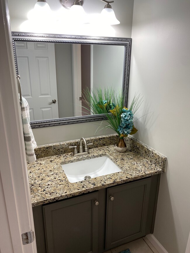 Main Bath - New Granite, new mirror, new faucet, new paint, refinished vanity cabinetry - 1101 Downs Blvd