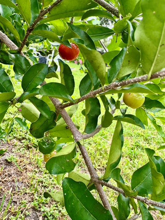 Building Photo - 1815 Barker Dr