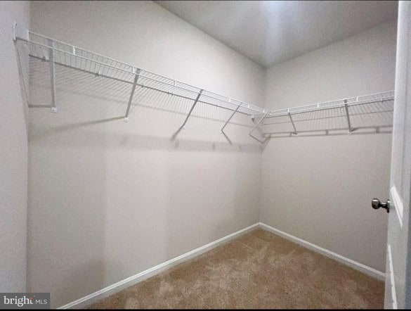 Building Photo - 47 Currant Cir