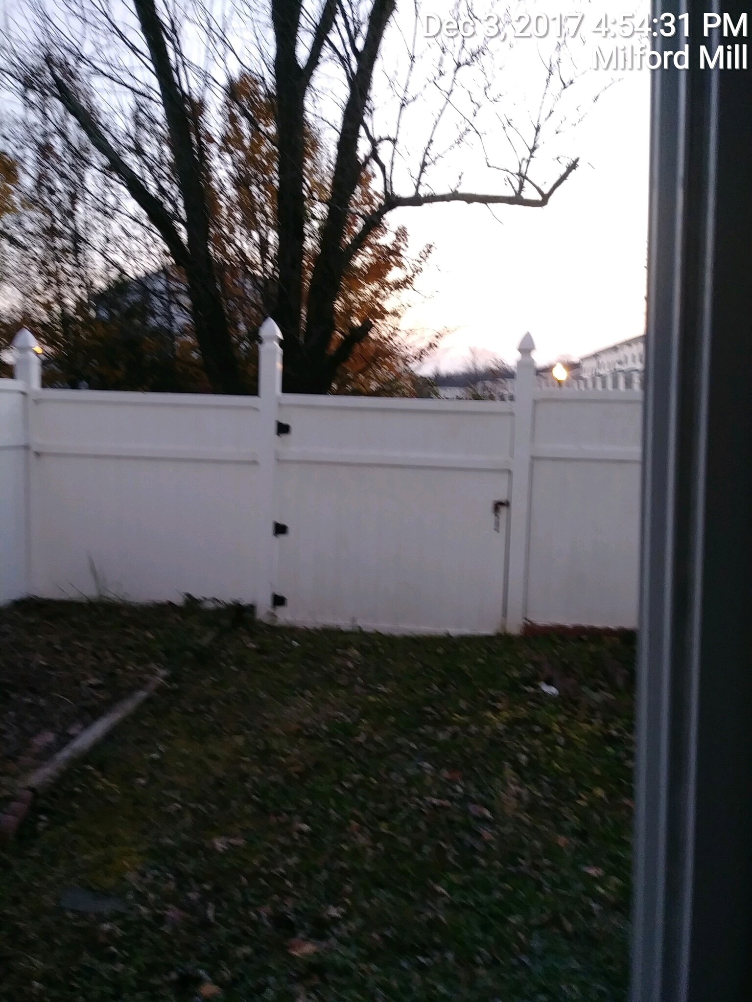 Back Yard - 2705 Claybrooke Dr