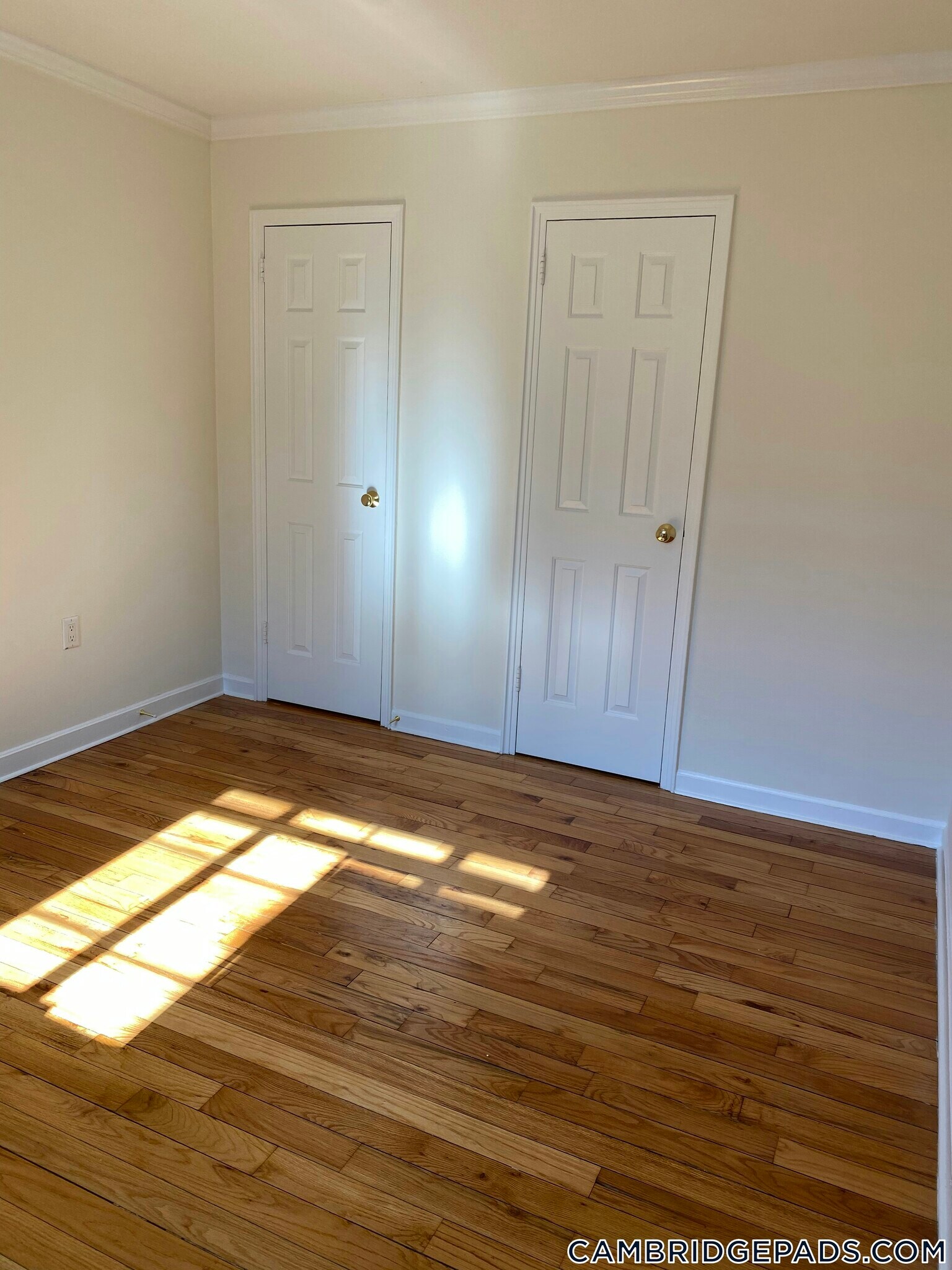 Building Photo - 60 Brattle St