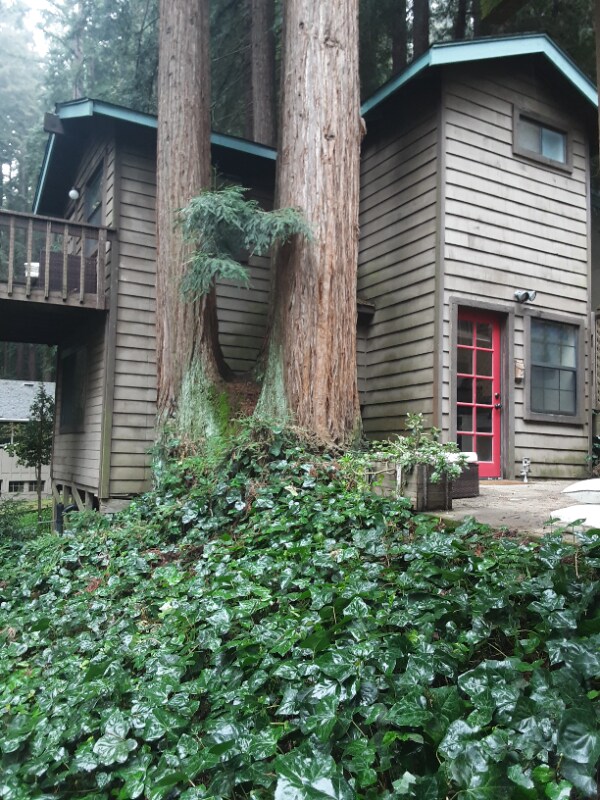 Building Photo - 17657 Navajo Trail