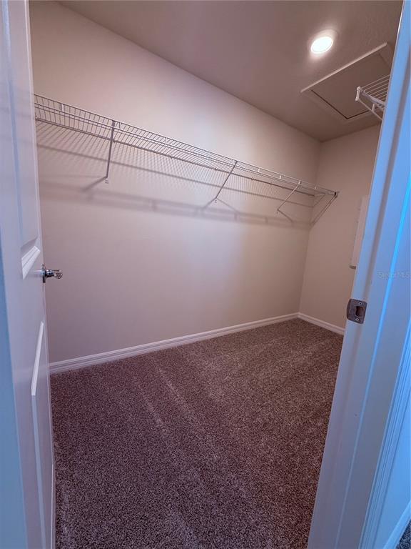 Building Photo - 91 Ivy Edge Ln