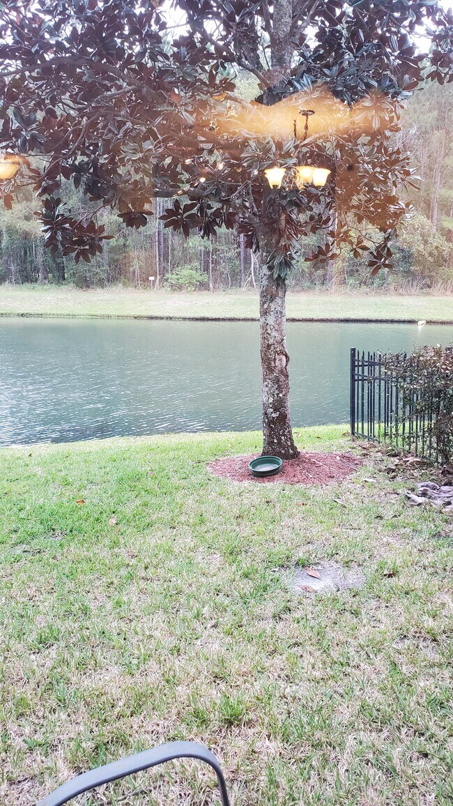 Building Photo - 242 Scrub Jay Dr