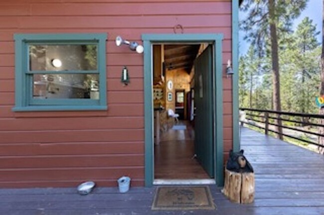 Building Photo - Cozy Cabin in Idyllwild