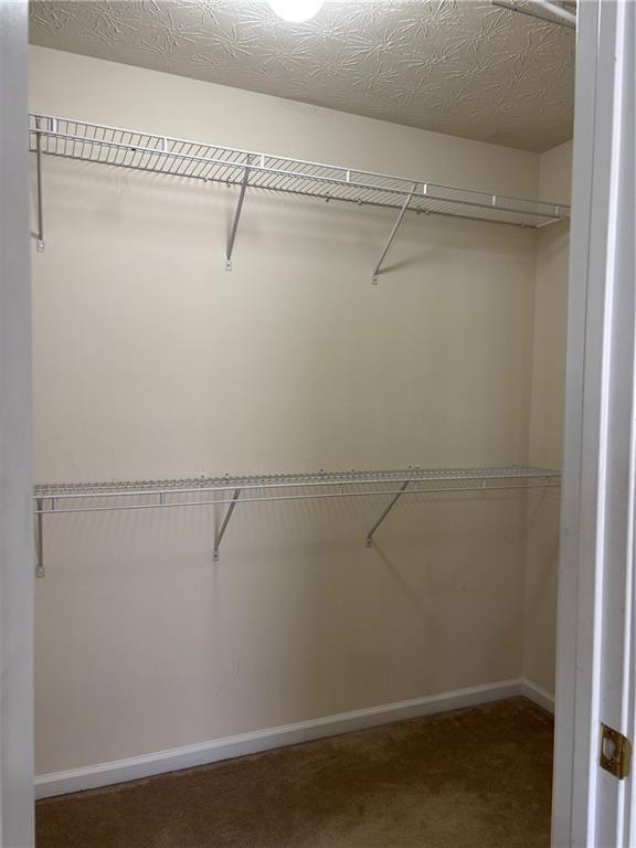 Building Photo - 303 Barberry Pl