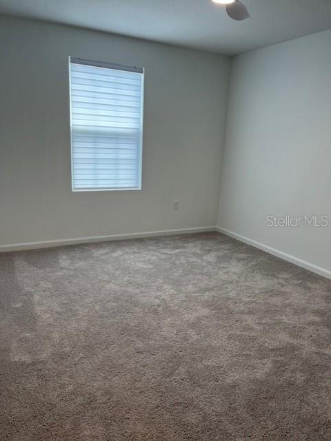 Building Photo - 2504 Peony Pl