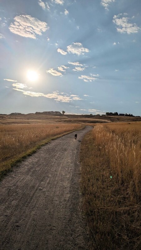 Building Photo - 2882 Ridge Dr