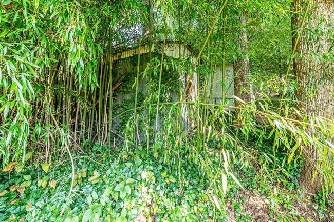 Building Photo - 4228 San Carlos Dr