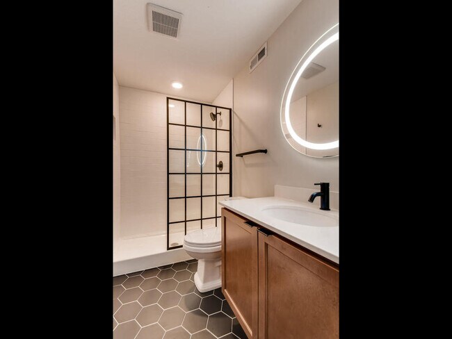 Lower Level Bathroom - 4661 Cedar Ave S