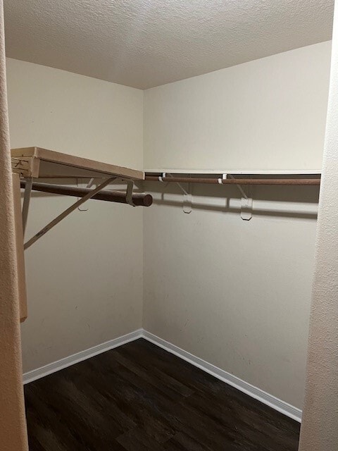 Building Photo - 3203 Apple Dale Dr