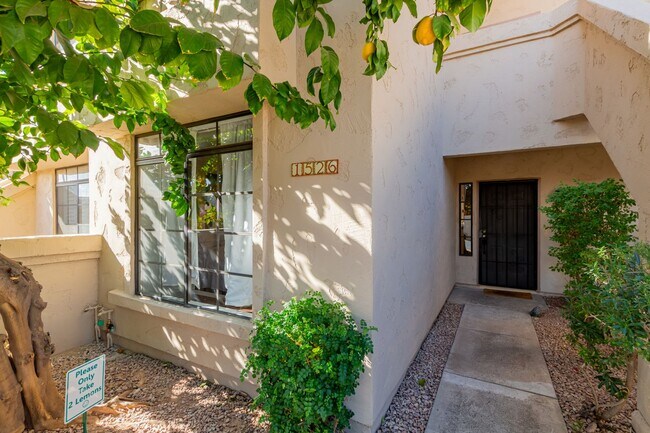 Building Photo - Racquet Club Condo – 1 Bedroom, 1 Bath