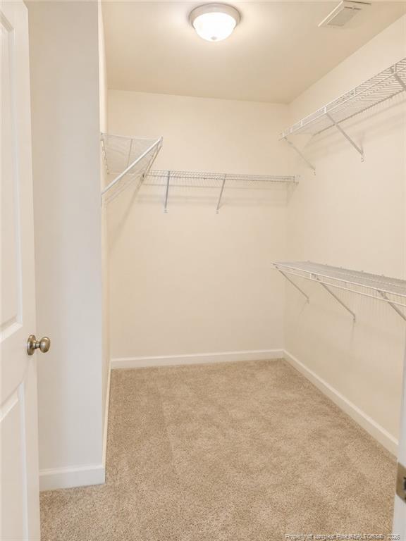 Building Photo - 2502 Clear Pines Ct