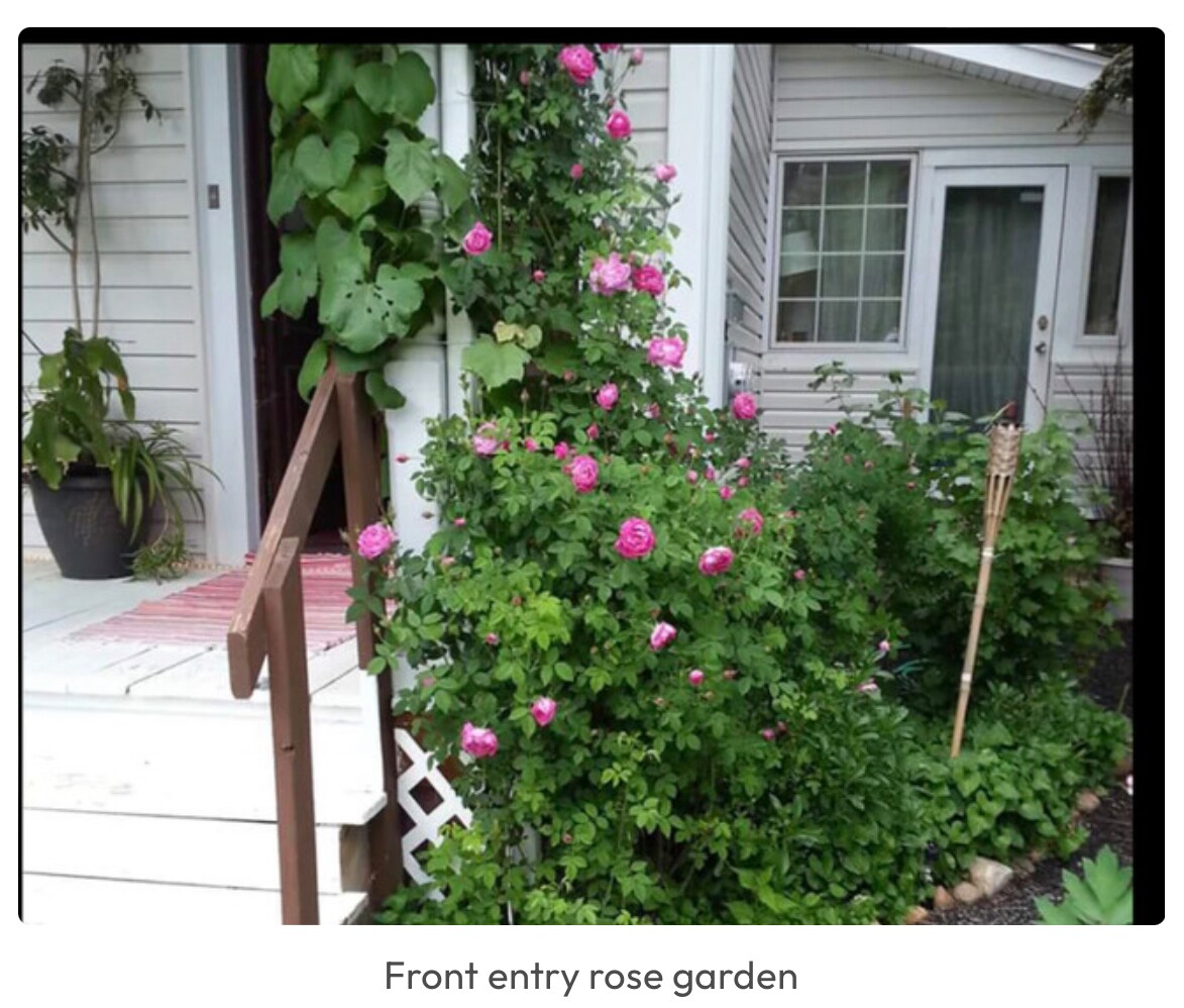 Front entry - 40-2 Oak St