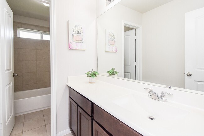 Building Photo - 24914 Alberti Sonata Dr