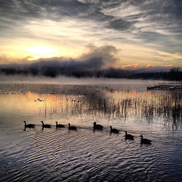 Winter Morning at Villa Marina - 17108 Northeast 45th Street