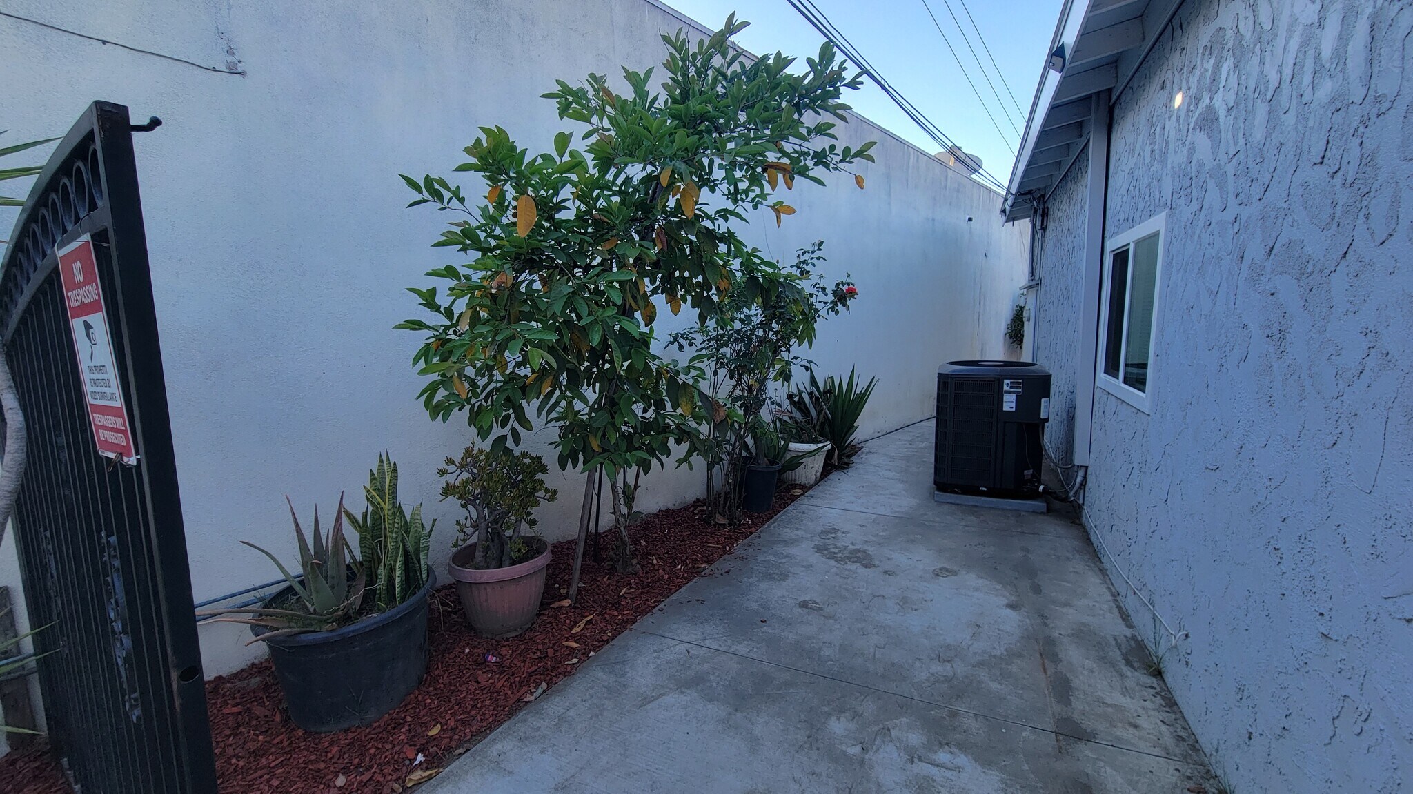 Building Photo - 2325 W Sequoia Ave