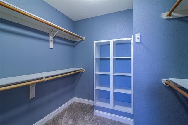 Building Photo - 2806 Ashley Ln