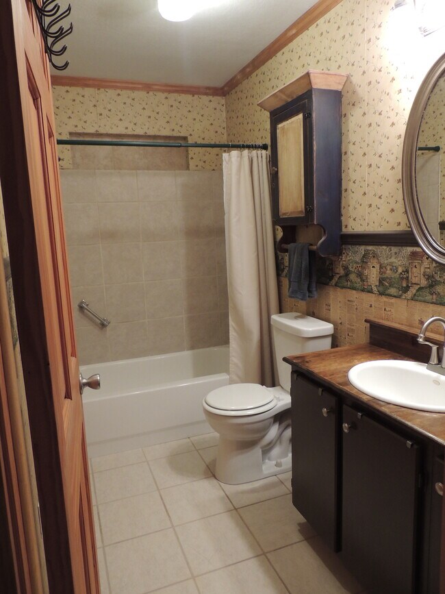 Hall bath with tub/shower combo. - 910 Perry Ln