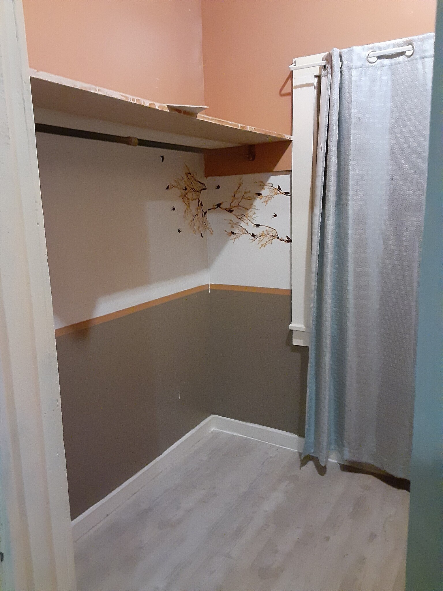 Building Photo - 509 Marine St