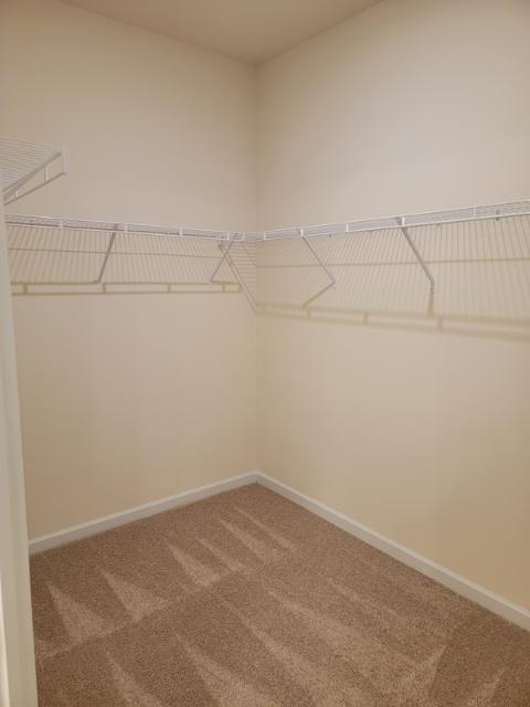 Building Photo - 160 Madison Bend