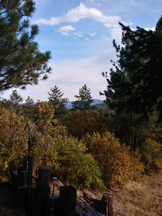 Building Photo - 3 bed 2 bath mountain rental
