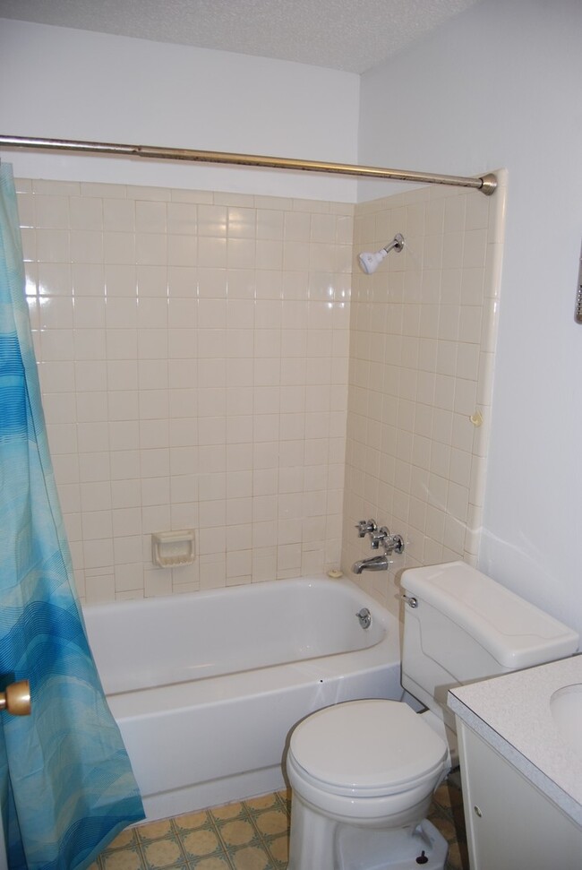 Building Photo - Beautiful 3 Bed, 1.5 Bath Home in the Hear...