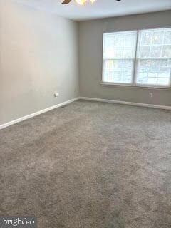 Building Photo - 4908 Tall Cedar Ct