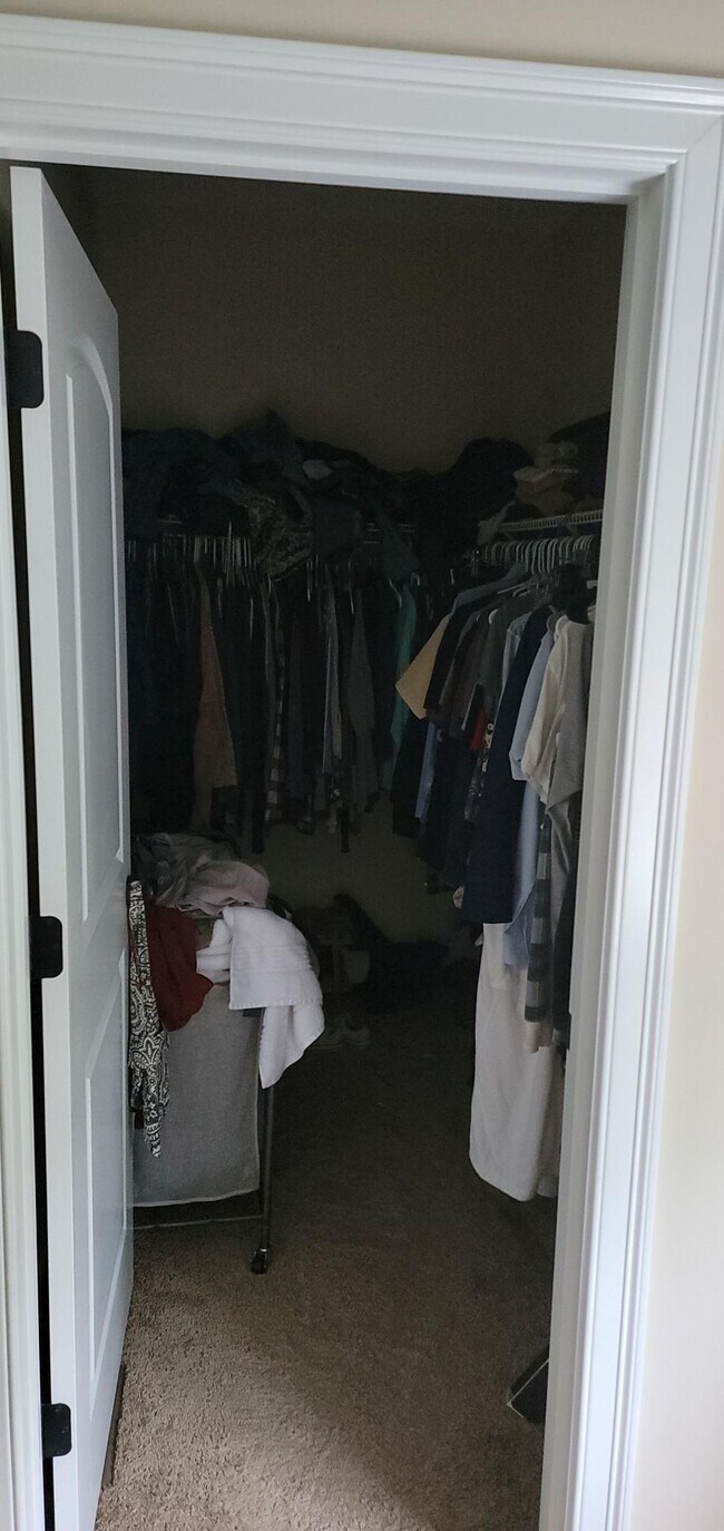 Building Photo - 61 Webster St