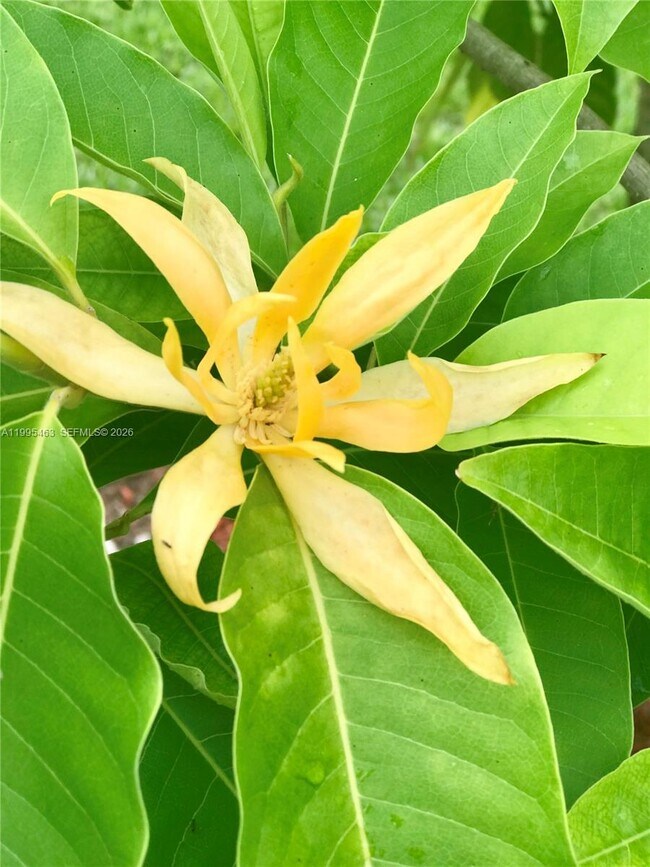 Building Photo - 2481 Eagle Watch Ct