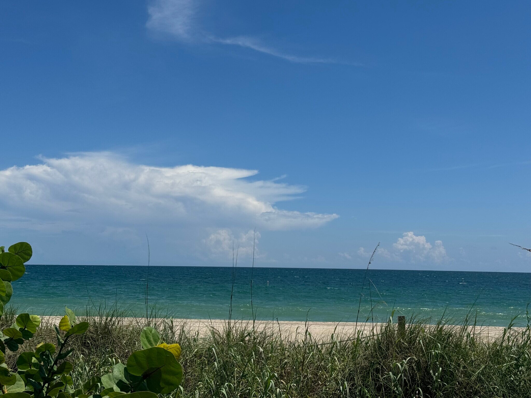 Walk 2 blocks to the ocean! - 2121 N Ocean Blvd