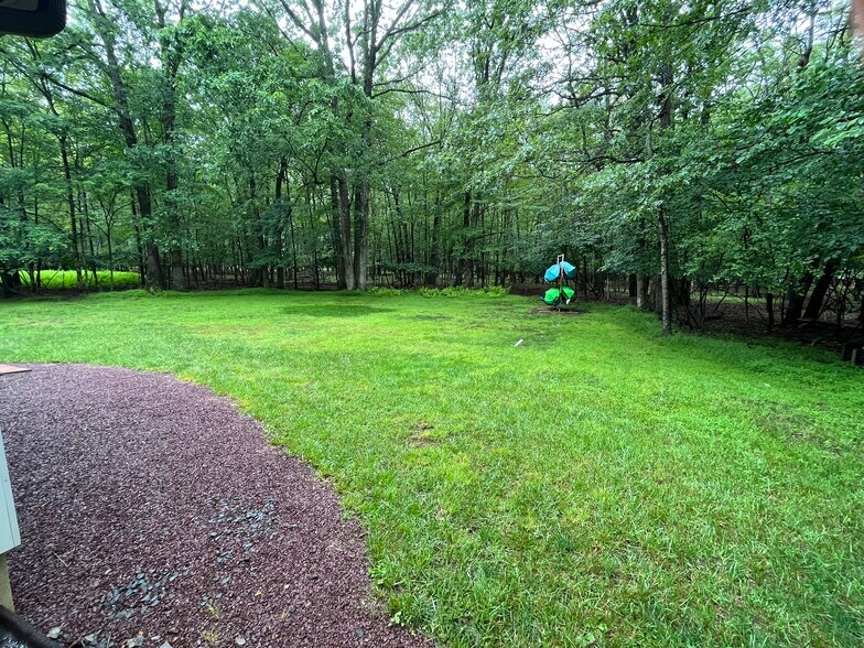 Backyard - 161 Piney Woods Dr