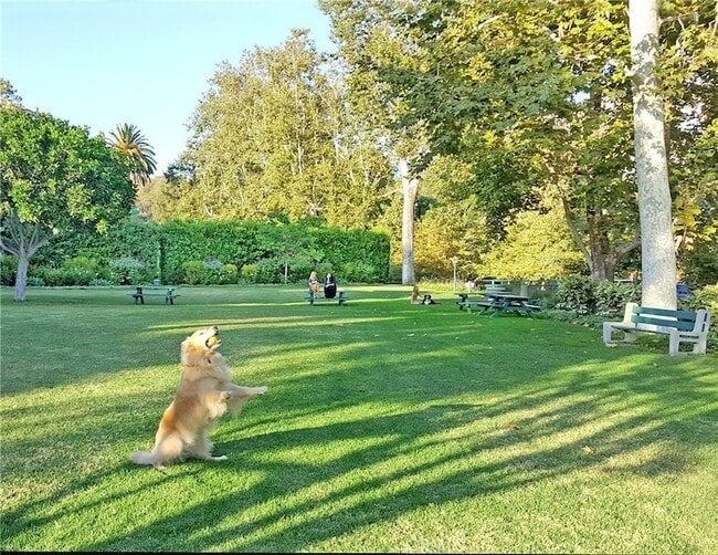 Building Photo - 1131 Emerald Bay