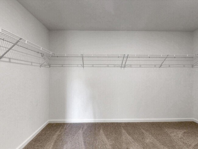 Building Photo - 3493 Chinotto Dr