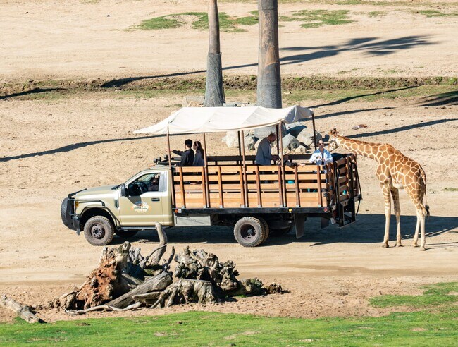 Here's a a must-visit for animal lovers and nature enthusiasts -- the world-renowned San Diego Zoo - 2304 E 14th St