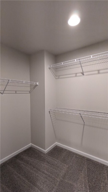 Building Photo - 249 Carvel Trl