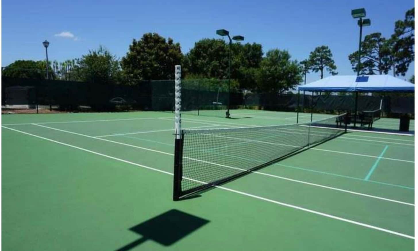 Building Photo - 895 SW Lake Charles Cir