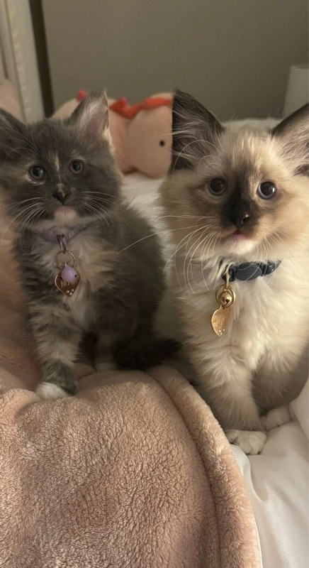 Building Photo - 2423 W Silverton Dr