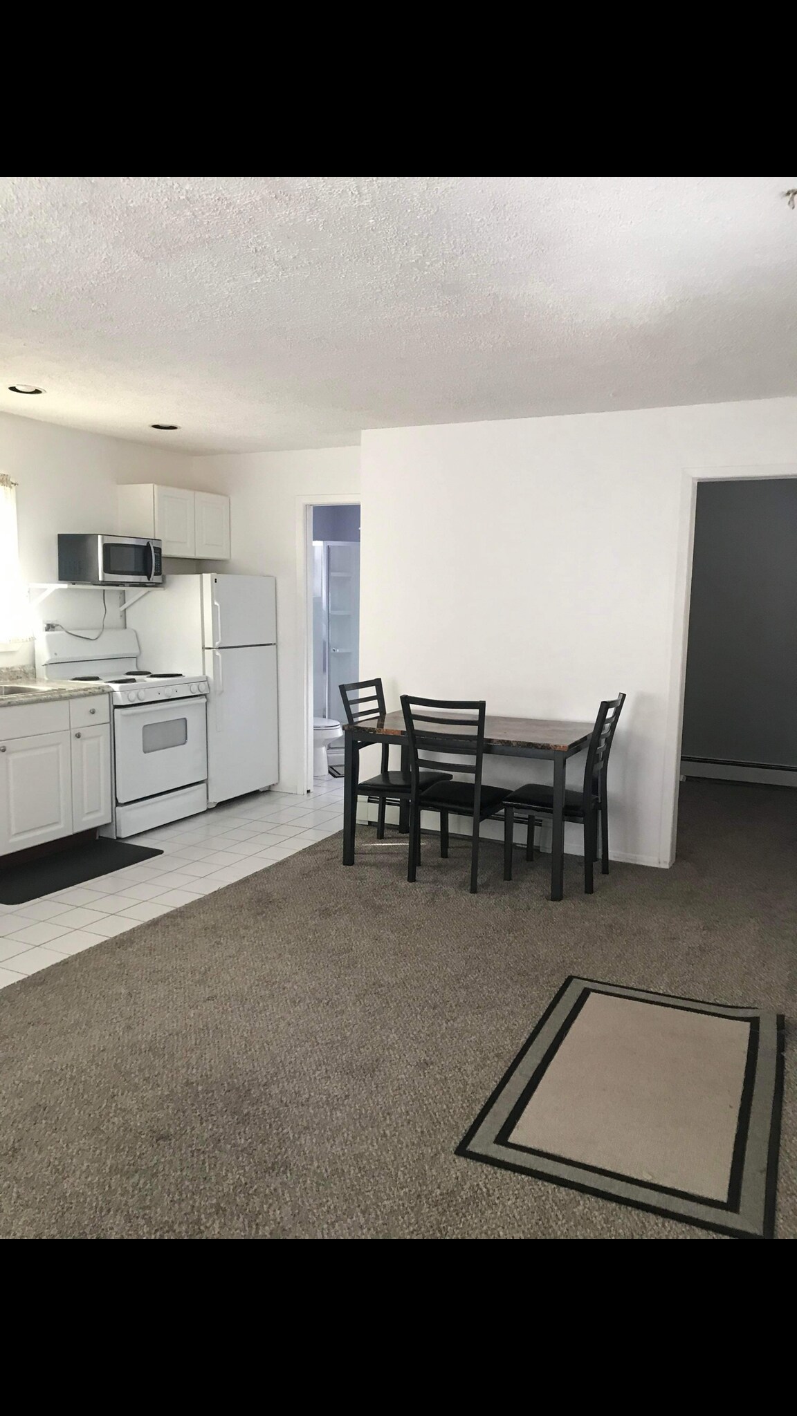Kitchen/ living room combo - 16 Landsberger St
