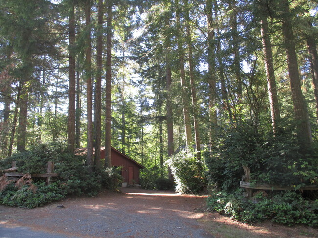 Building Photo - Beautiful 3 bedroom Log Home on large lot ...