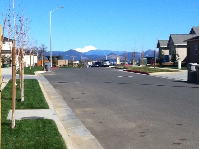 Shasta View - 829 Domain Way